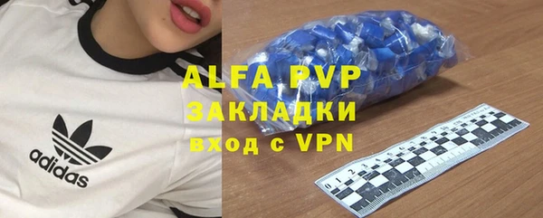 гидра Ладушкин