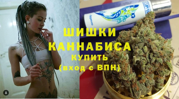крисы Лагань
