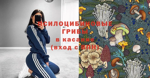 крисы Лагань