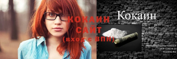 крисы Лагань