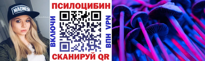 Купить закладки  Тетюши  Галлюциногенные грибы Cubensis 